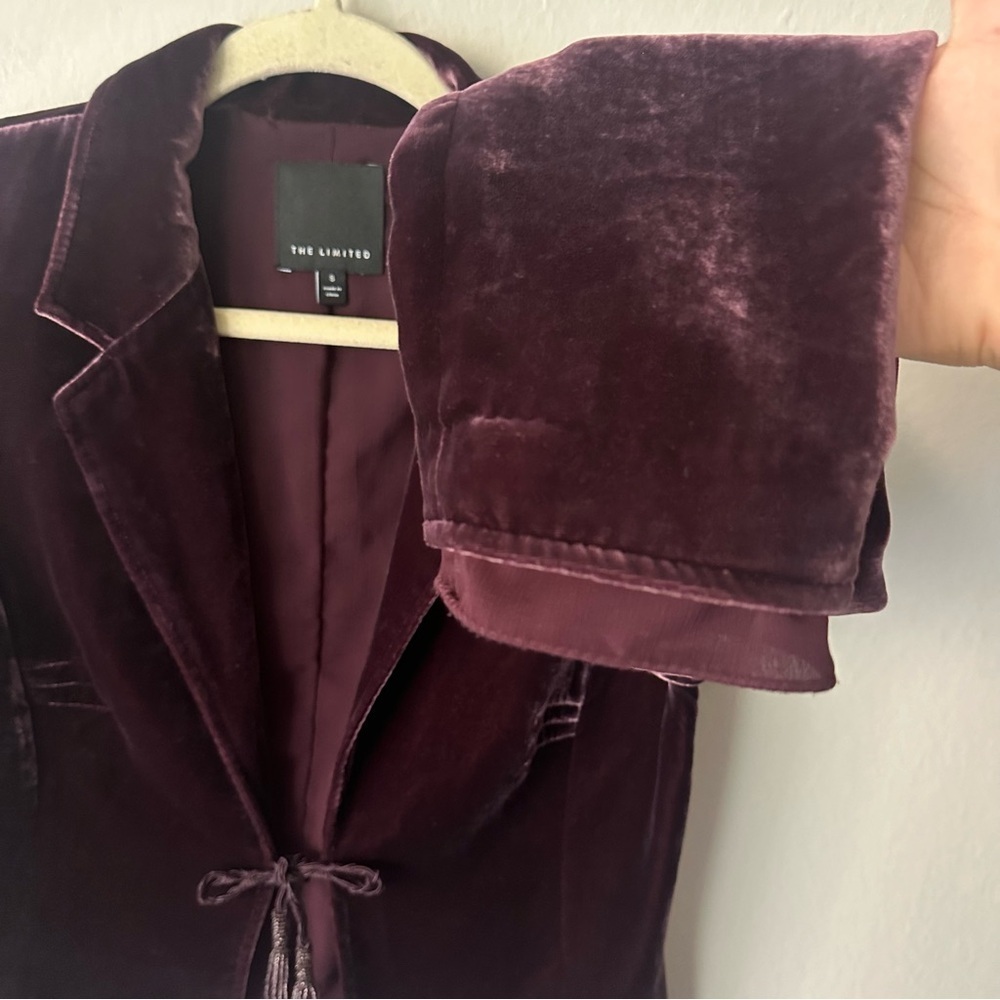 The Limited Vintage Velour Holiday Front Tie Blazer in Burgundy Small Holiday - Picture 4 of 10